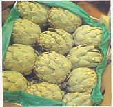 Artichoke Powder Extract 4:1 TLC