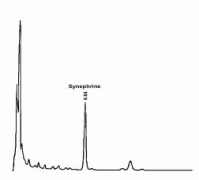 Citrus Aurantium Synephrine 4%-30%HPLC