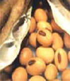 Soybean Extract Isoflavone 20%-80% HPLC