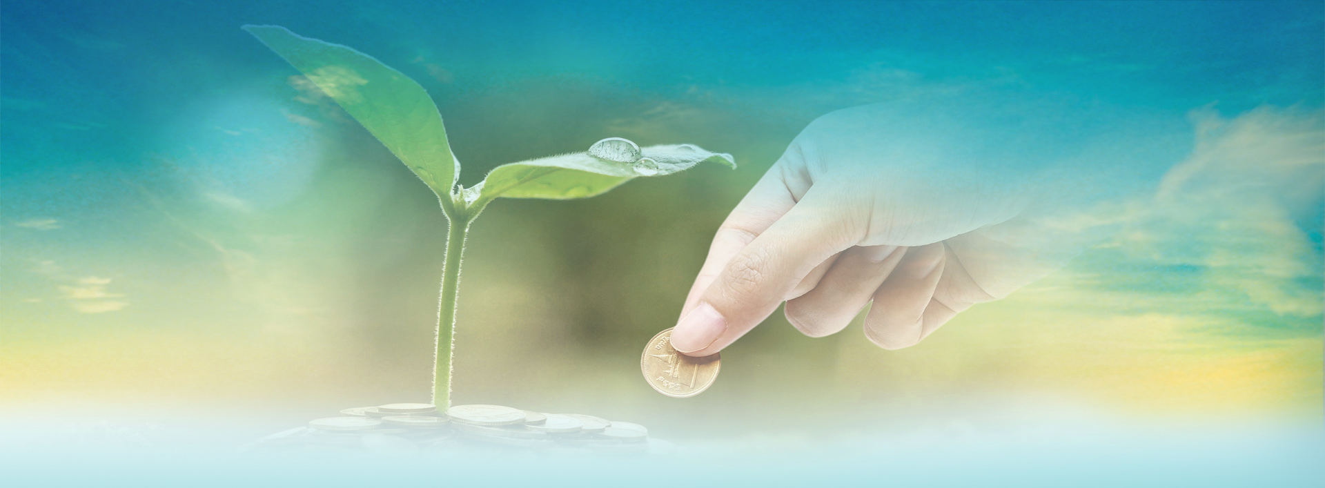 Social Responsibility